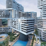 The Interlace