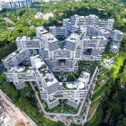 The Interlace