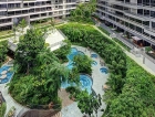 The Interlace