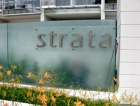 Strata