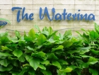 The Waterina